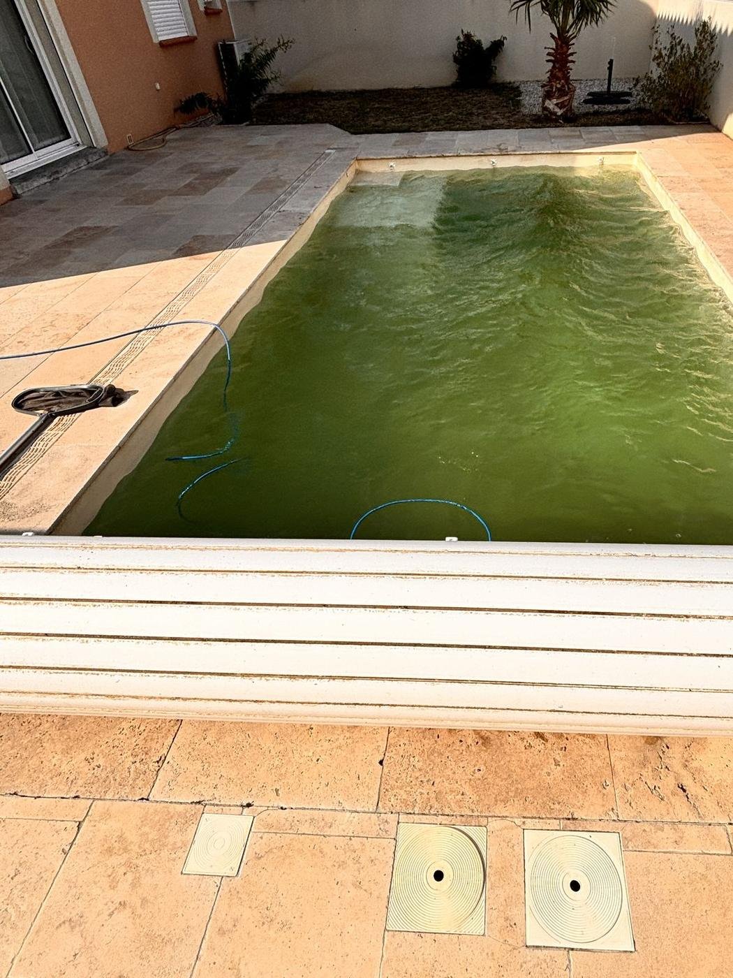 Piscine à l'eau verte avant l'intervention