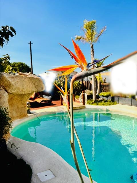 Jardins et extérieurs : chantier Select Services, photo 20