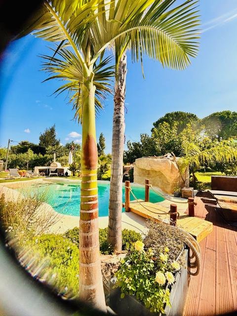 Jardins et extérieurs : chantier Select Services, photo 19