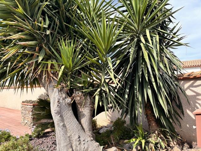 Jardins et extérieurs : chantier Select Services, photo 15