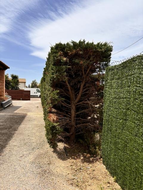 Jardins et extérieurs : chantier Select Services, photo 26