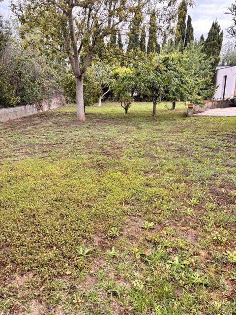 Jardins et extérieurs : chantier Select Services, photo 27