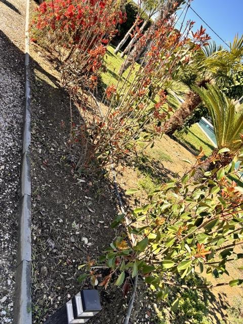 Jardins et extérieurs : chantier Select Services, photo 28
