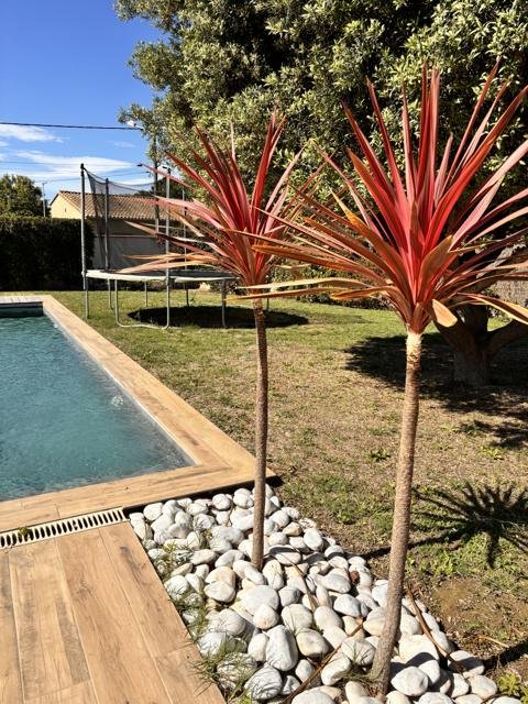 Jardins et extérieurs : chantier Select Services, photo 7