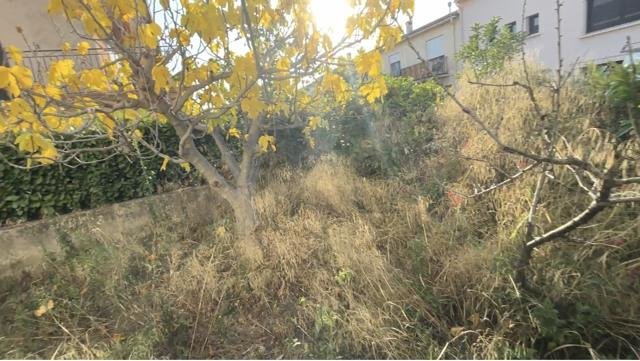 Jardins et extérieurs : chantier Select Services, photo 33