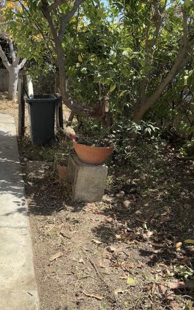 Jardins et extérieurs : chantier Select Services, photo 35