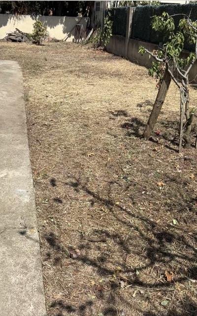 Jardins et extérieurs : chantier Select Services, photo 36