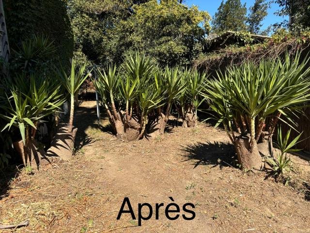Jardins et extérieurs : chantier Select Services, photo 50