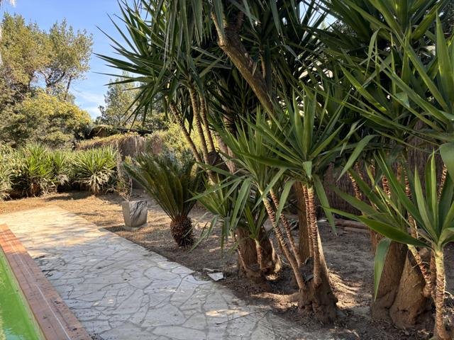 Jardins et extérieurs : chantier Select Services, photo 12