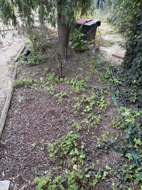 Jardins et extérieurs : chantier Select Services, photo 52