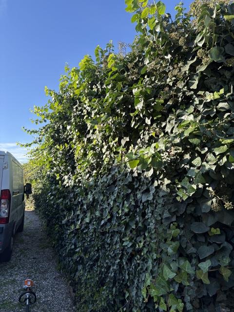 Jardins et extérieurs : chantier Select Services, photo 62