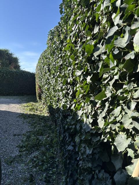 Jardins et extérieurs : chantier Select Services, photo 63
