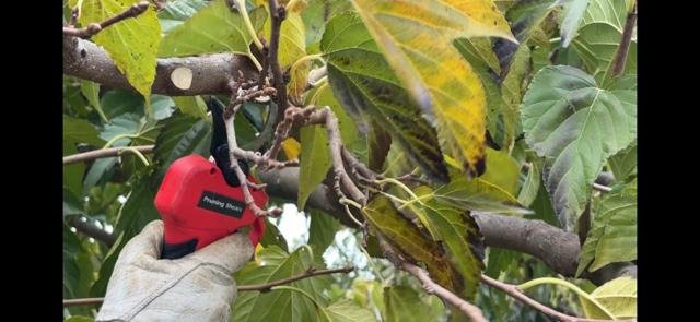 Jardins et extérieurs : chantier Select Services, photo 67