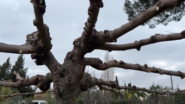 Jardins et extérieurs : chantier Select Services, photo 68