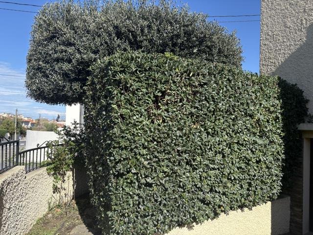 Jardins et extérieurs : chantier Select Services, photo 8