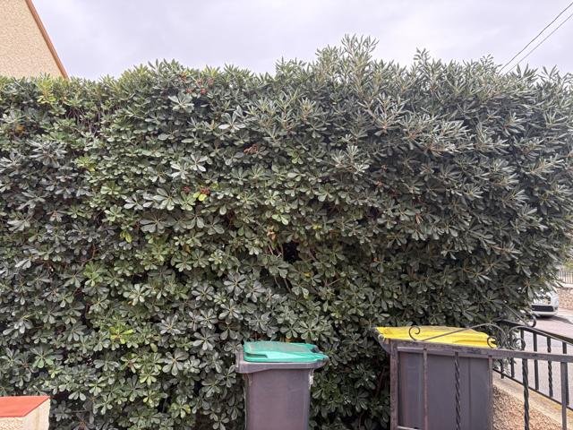 Jardins et extérieurs : chantier Select Services, photo 72