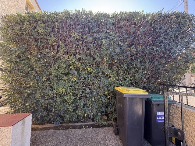 Jardins et extérieurs : chantier Select Services, photo 73