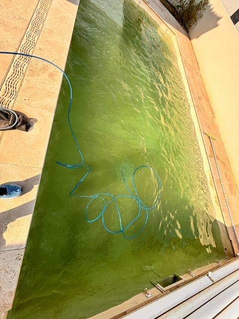 Piscines et spas : chantier Select Services, photo 20