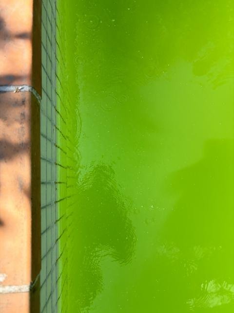 Piscines et spas : chantier Select Services, photo 27