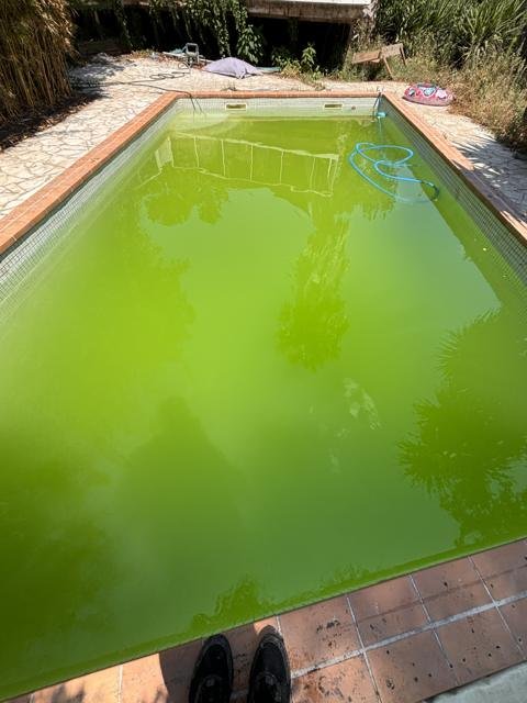 Piscines et spas : chantier Select Services, photo 28