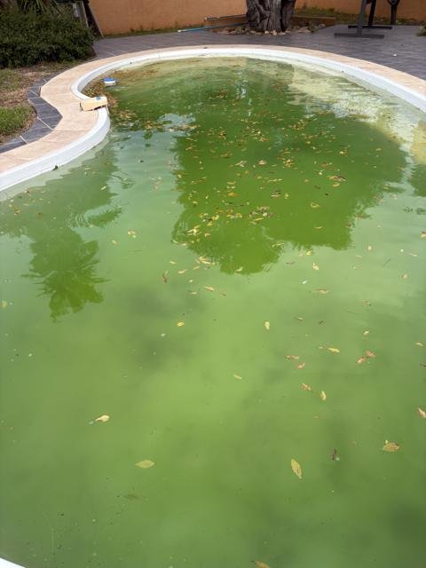 Piscines et spas : chantier Select Services, photo 33